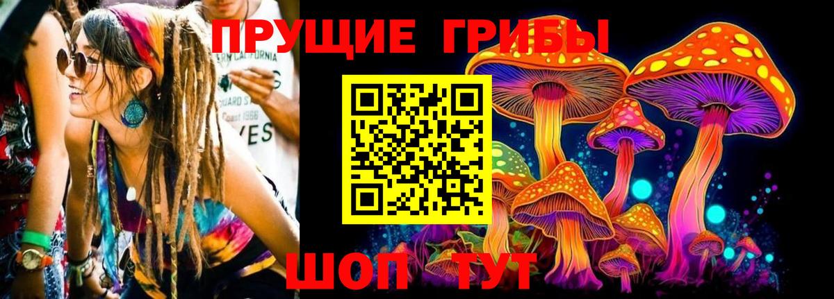 наркота  Галлюциногенные грибы мицелий  Галлюциногенные грибы мицелий  Вход с VPN  Сегежа 