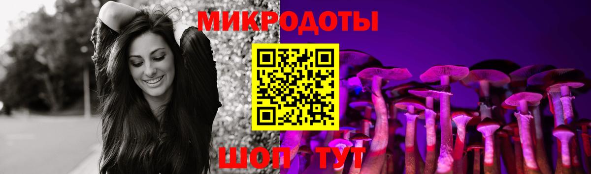 Галлюциногенные грибы Psilocybe Сегежа